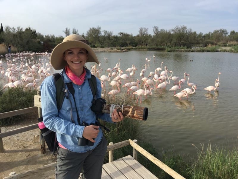 person watching flamingos in camargue france