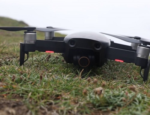 Using a Drone around Wildlife: How to avoid conflict