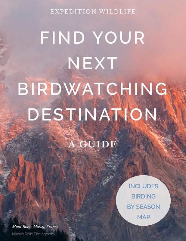 Birding Destination Guide Opt-in