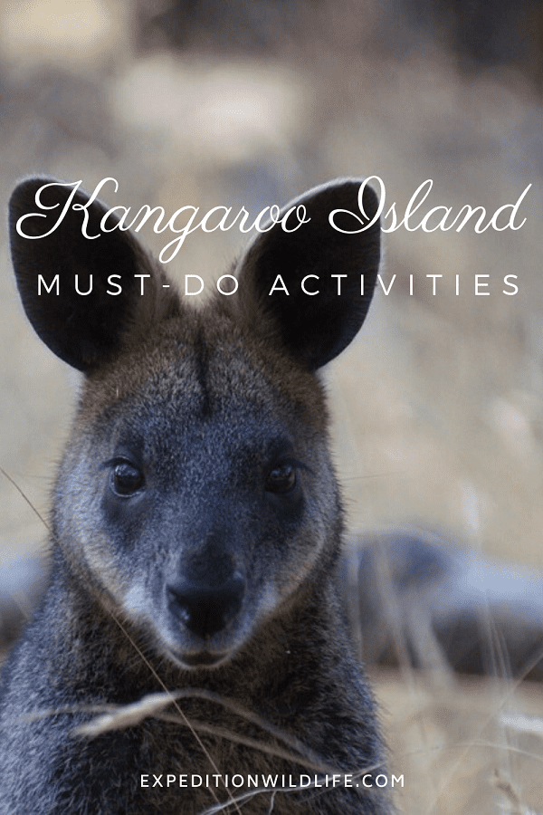 Kangaroo Island Pin