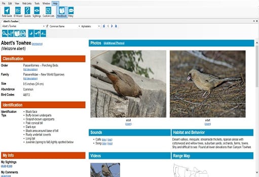 Thayer Birding Software Interface