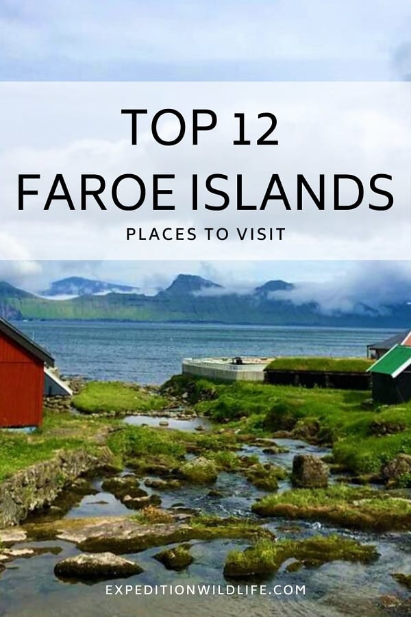 Top 12 in the Faroes Pin