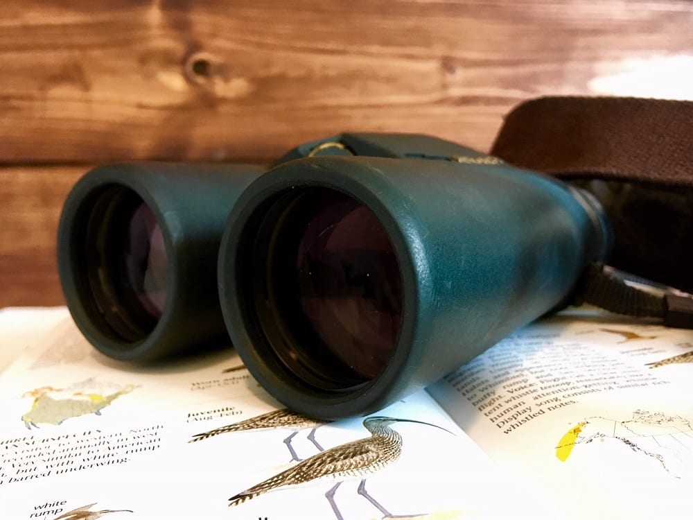 binoculars with bird book
