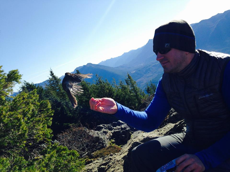 a gray jay flies from a man's hand