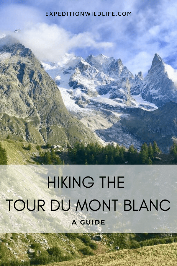 hiking the tour du mont blanc pin 
