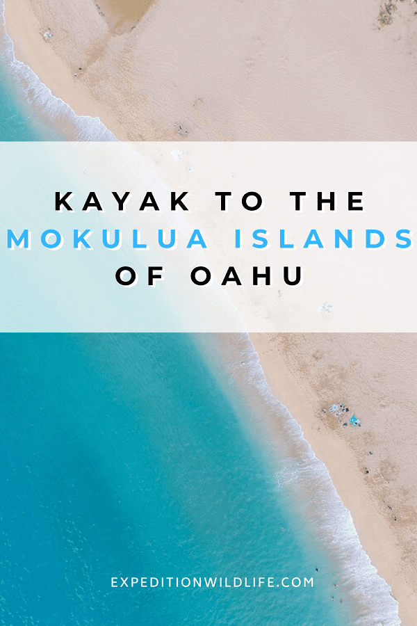 Kayak the Mokulua Islands Pin