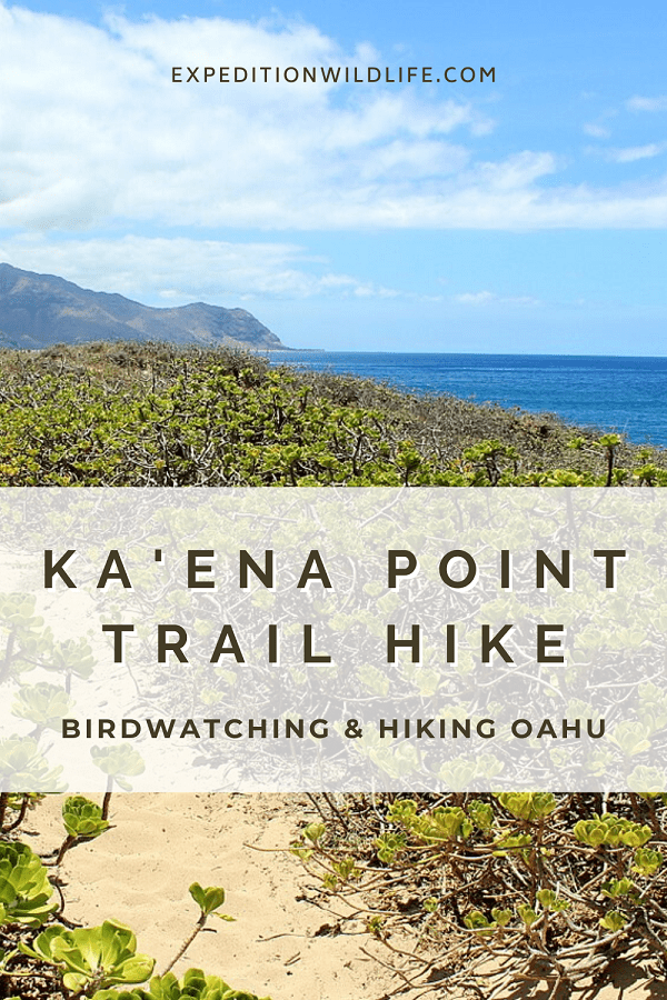 Kaena Point Trail Hike 
