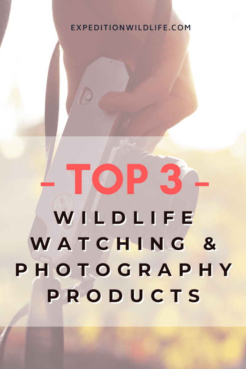 TOP-3-wildlife-watching-and-photo-products